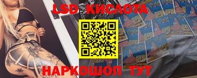 Альфа ПВП Краснодар