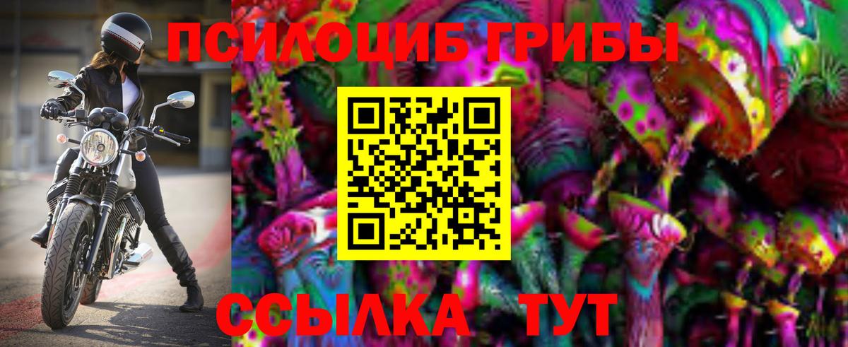купить  сайты  Вход с VPN  Егорьевск  Псилоцибиновые грибы мицелий 